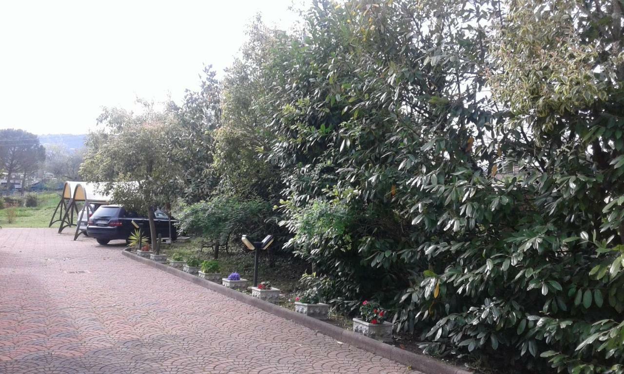 Le Palme Bed & Breakfast Chieti Exterior photo
